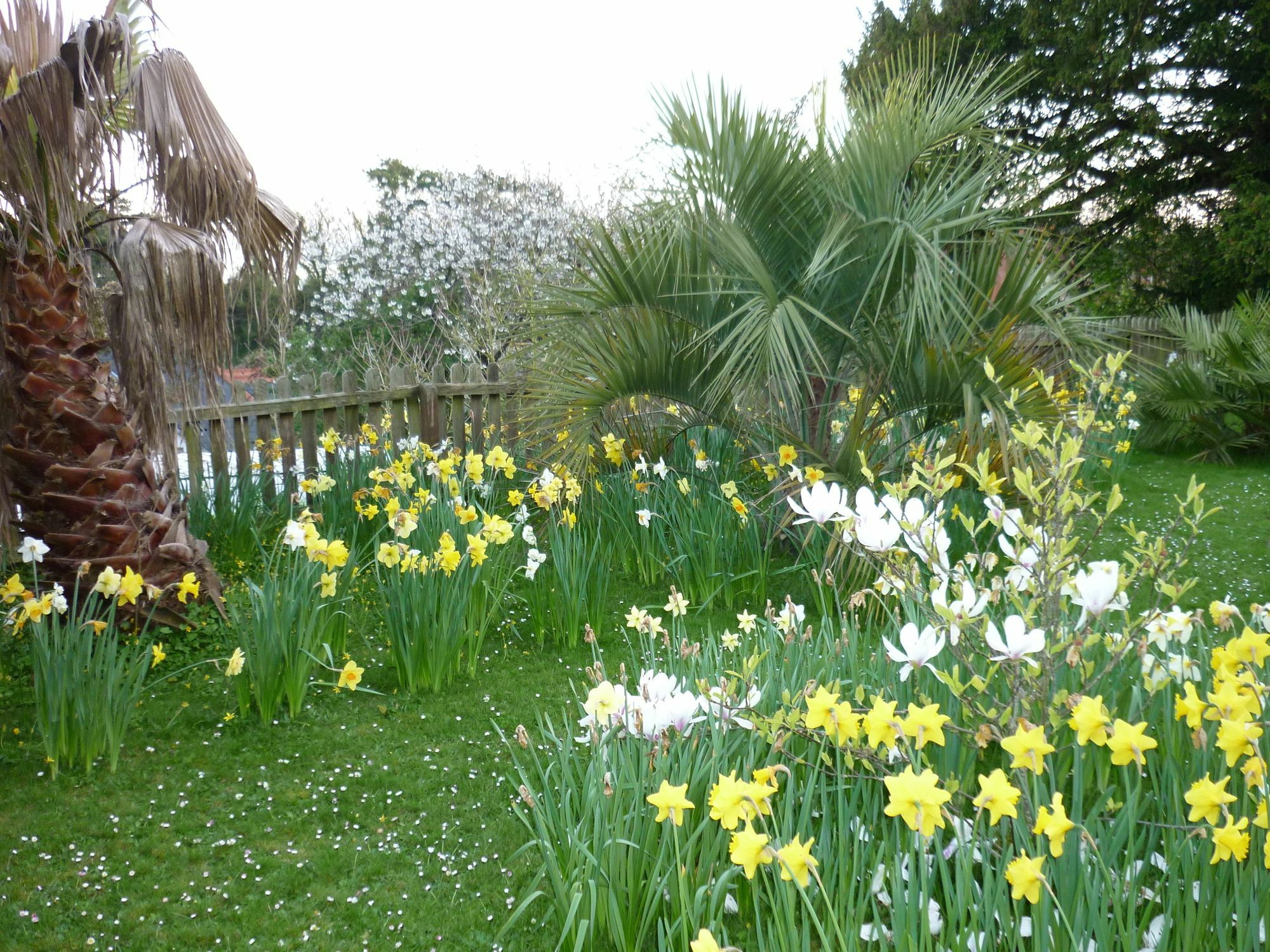 St Maur Hotel Ventnor Bagian luar foto